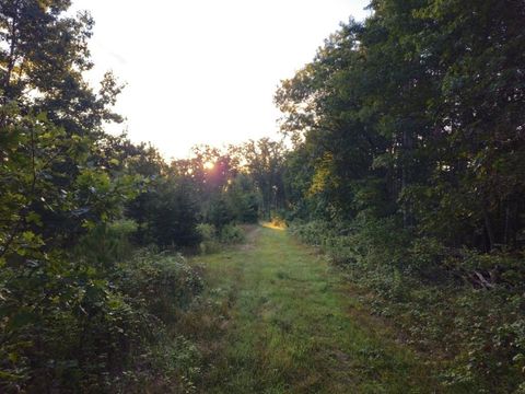 Tiny photo for N6576 County Road N, Princeton, WI 54968 (MLS # 2007516)