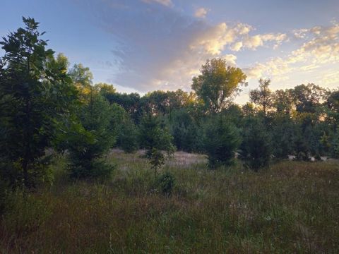 Tiny photo for N6576 County Road N, Princeton, WI 54968 (MLS # 2007516)