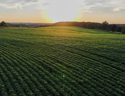 Photo of 40.22Â± Acres Stump Ridge Road, Viroqua, WI 54665 (MLS # 2030880)