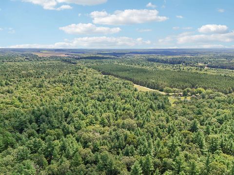 Tiny photo for 1328 Fish Drive, Wisconsin Dells, WI 53965 (MLS # 2006016)