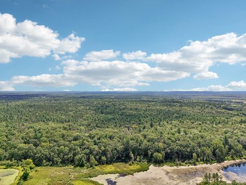 Tiny photo for 1328 Fish Drive, Wisconsin Dells, WI 53965 (MLS # 2006016)