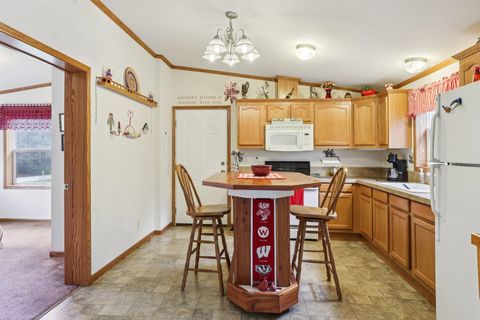 Tiny photo for 1328 Fish Drive, Wisconsin Dells, WI 53965 (MLS # 2006016)