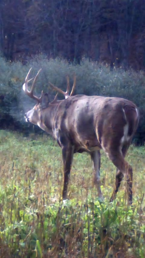 Tiny photo for 1328 Fish Drive, Wisconsin Dells, WI 53965 (MLS # 2006016)