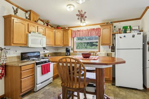 Tiny photo for 1328 Fish Drive, Wisconsin Dells, WI 53965 (MLS # 2006016)