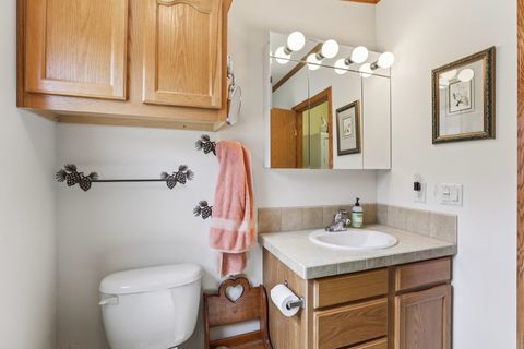 Tiny photo for 1328 Fish Drive, Wisconsin Dells, WI 53965 (MLS # 2006016)