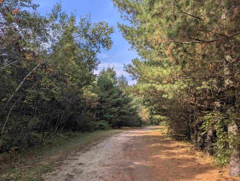 Tiny photo for 1152 Chicago Lane, Friendship, WI 53934 (MLS # 2009390)