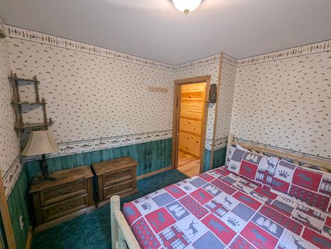 Tiny photo for 1152 Chicago Lane, Friendship, WI 53934 (MLS # 2009390)
