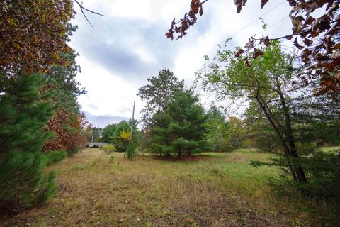 Tiny photo for 000 N Gale Drive, Wisconsin Dells, WI 53965 (MLS # 2011337)