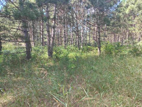 Tiny photo for Lot 113 Beaver Lane, Arkdale, WI 54613 (MLS # 1981924)