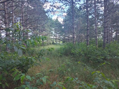 Tiny photo for Lot 113 Beaver Lane, Arkdale, WI 54613 (MLS # 1981924)