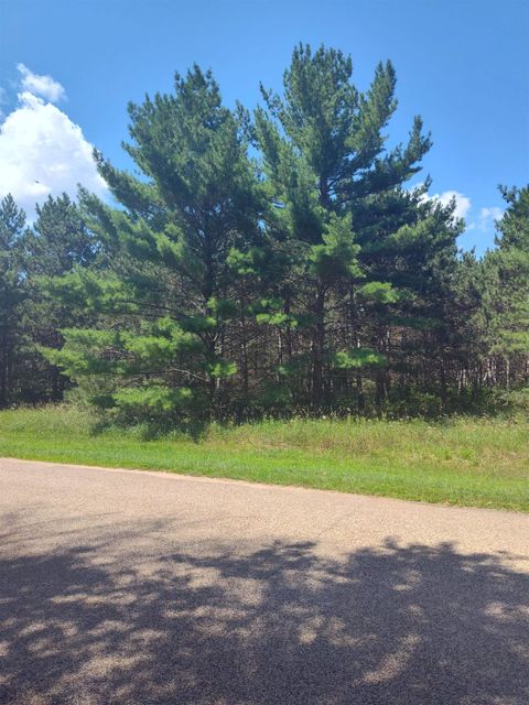 Tiny photo for Lot 113 Beaver Lane, Arkdale, WI 54613 (MLS # 1981924)