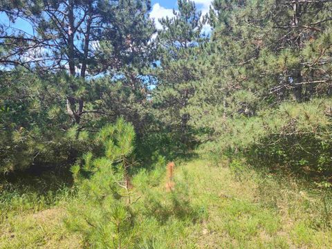 Tiny photo for Lot 113 Beaver Lane, Arkdale, WI 54613 (MLS # 1981924)