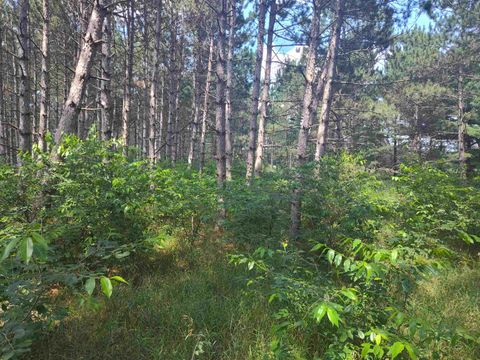 Tiny photo for Lot 113 Beaver Lane, Arkdale, WI 54613 (MLS # 1981924)