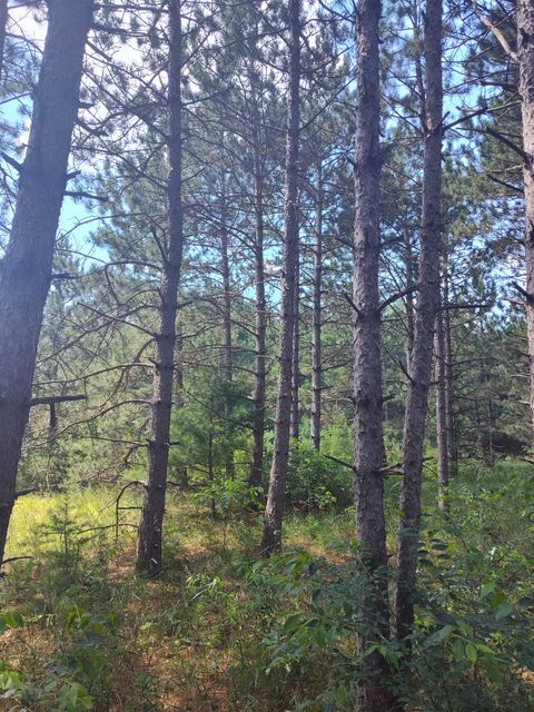 Tiny photo for Lot 113 Beaver Lane, Arkdale, WI 54613 (MLS # 1981924)