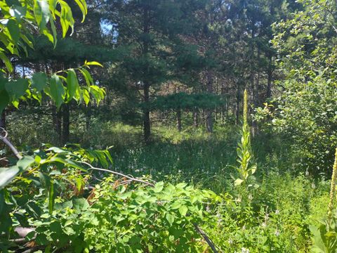 Tiny photo for Lot 113 Beaver Lane, Arkdale, WI 54613 (MLS # 1981924)