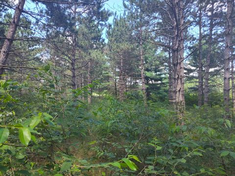 Tiny photo for Lot 113 Beaver Lane, Arkdale, WI 54613 (MLS # 1981924)