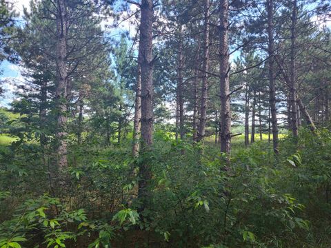 Tiny photo for Lot 113 Beaver Lane, Arkdale, WI 54613 (MLS # 1981924)