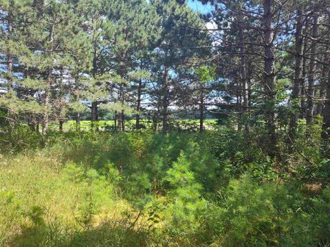 Tiny photo for Lot 113 Beaver Lane, Arkdale, WI 54613 (MLS # 1981924)