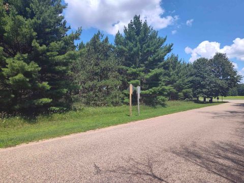 Tiny photo for Lot 113 Beaver Lane, Arkdale, WI 54613 (MLS # 1981924)