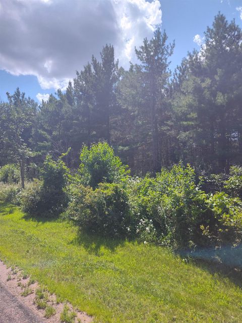 Tiny photo for Lot 113 Beaver Lane, Arkdale, WI 54613 (MLS # 1981924)