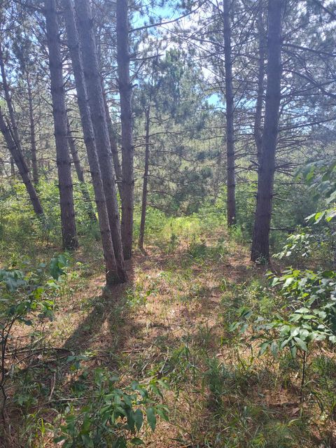 Tiny photo for Lot 113 Beaver Lane, Arkdale, WI 54613 (MLS # 1981924)
