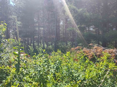 Tiny photo for Lot 113 Beaver Lane, Arkdale, WI 54613 (MLS # 1981924)