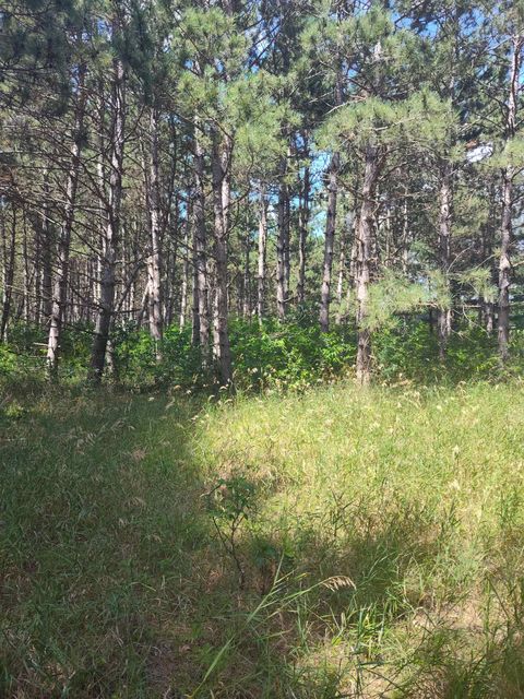 Tiny photo for Lot 113 Beaver Lane, Arkdale, WI 54613 (MLS # 1981924)