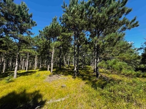 Tiny photo for 40 AC Cty O Acres, Nekoosa, WI 54457 (MLS # 2009948)