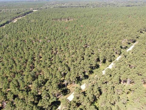 Tiny photo for 40 AC Cty O Acres, Nekoosa, WI 54457 (MLS # 2009948)