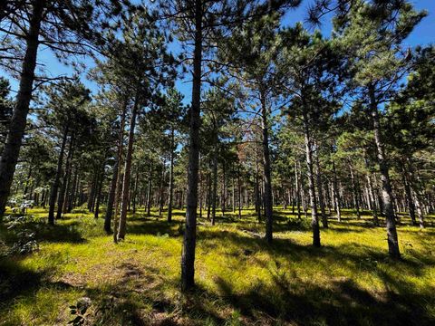 Tiny photo for 40 AC Cty O Acres, Nekoosa, WI 54457 (MLS # 2009948)