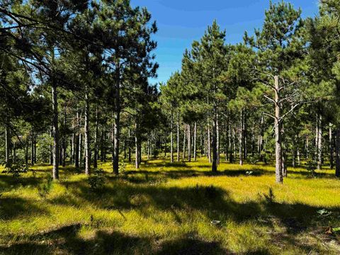 Tiny photo for 40 AC Cty O Acres, Nekoosa, WI 54457 (MLS # 2009948)