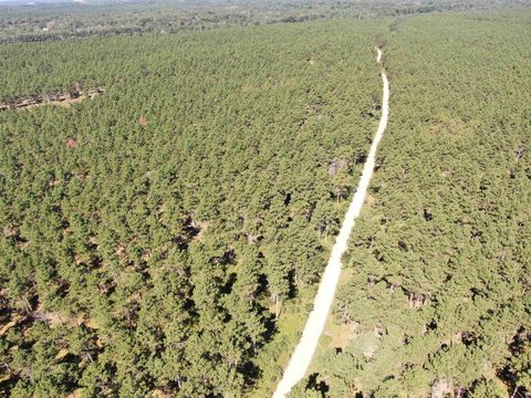 Tiny photo for 40 AC Cty O Acres, Nekoosa, WI 54457 (MLS # 2009948)