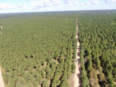Tiny photo for 40 AC Cty O Acres, Nekoosa, WI 54457 (MLS # 2009948)
