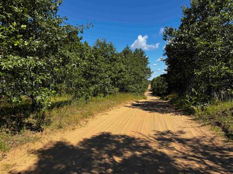 Tiny photo for 40 AC Cty O Acres, Nekoosa, WI 54457 (MLS # 2009948)