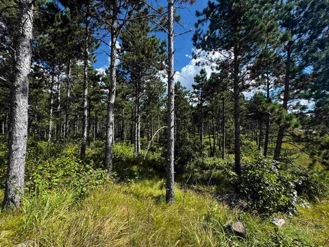 Tiny photo for 40 AC Cty O Acres, Nekoosa, WI 54457 (MLS # 2009948)