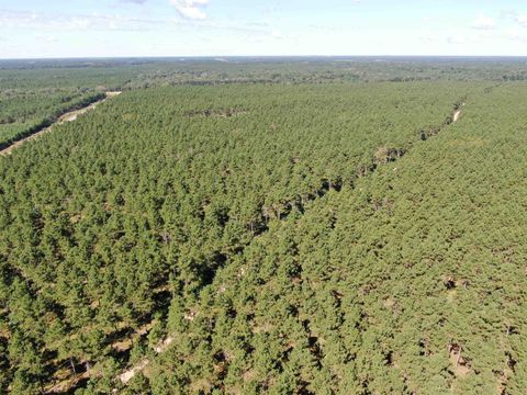 Tiny photo for 40 AC Cty O Acres, Nekoosa, WI 54457 (MLS # 2009948)