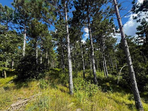 Tiny photo for 40 AC Cty O Acres, Nekoosa, WI 54457 (MLS # 2009948)