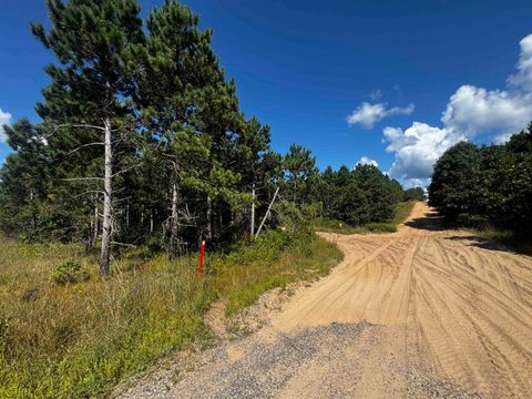 Tiny photo for 40 AC Cty O Acres, Nekoosa, WI 54457 (MLS # 2009948)