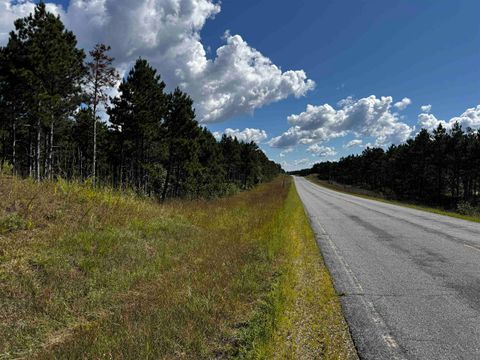 Tiny photo for 40 AC Cty O Acres, Nekoosa, WI 54457 (MLS # 2009948)