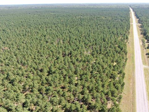 Tiny photo for 40 AC Cty O Acres, Nekoosa, WI 54457 (MLS # 2009948)