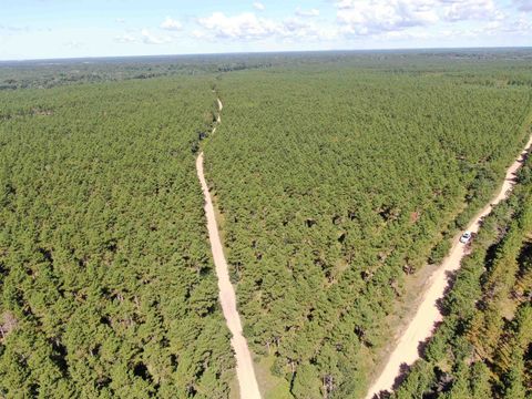 Tiny photo for 40 AC Cty O Acres, Nekoosa, WI 54457 (MLS # 2009948)