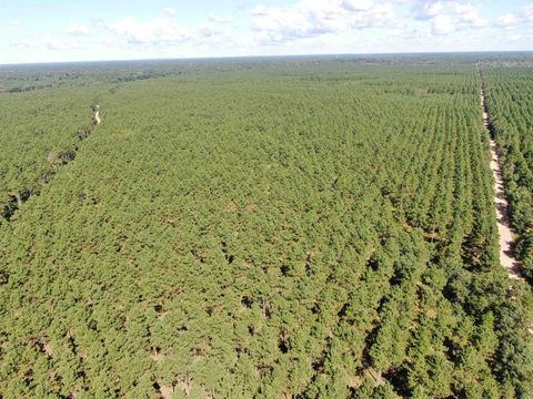 Tiny photo for 40 AC Cty O Acres, Nekoosa, WI 54457 (MLS # 2009948)