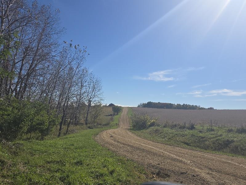 Mimosa Road