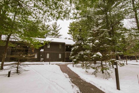 Photo of 5 Spruce Trail, Wisconsin Dells, WI 53965 (MLS # 2014114)