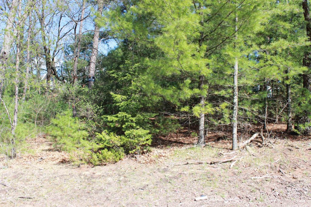 Photo for Lots 20-21 Leona Street, Friendship, WI 53934 (MLS # 1991009)