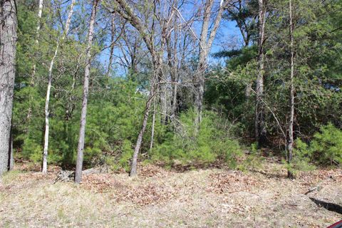 Tiny photo for Lots 20-21 Leona Street, Friendship, WI 53934 (MLS # 1991009)