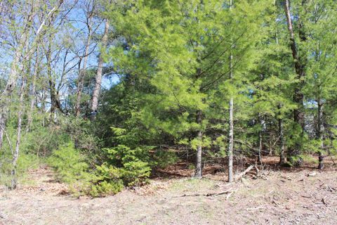 Tiny photo for Lots 20-21 Leona Street, Friendship, WI 53934 (MLS # 1991009)