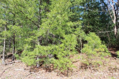 Tiny photo for Lots 20-21 Leona Street, Friendship, WI 53934 (MLS # 1991009)