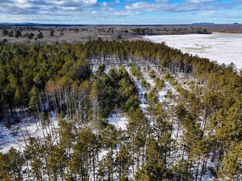 Photo of 19.81 Acres 6th Avenue, Grand Marsh, WI 53936 (MLS # 2016197)