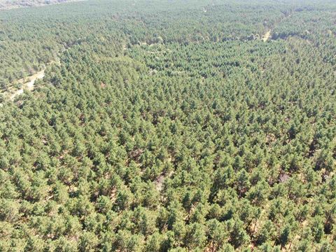 Tiny photo for 77 AC State Highway 13 Acres, Nekoosa, WI 54457 (MLS # 2009949)